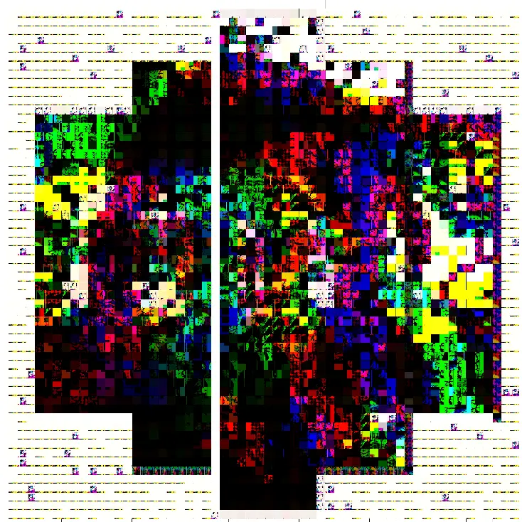 Auto Portrait 