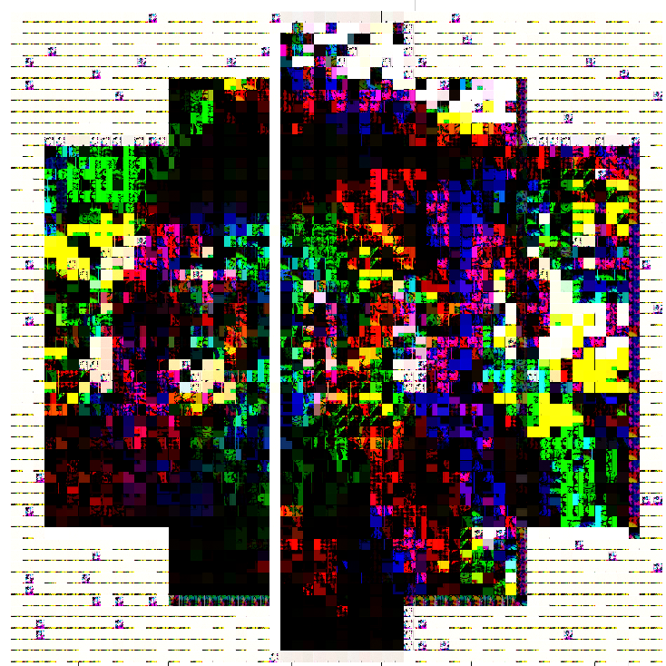 Auto Portrait