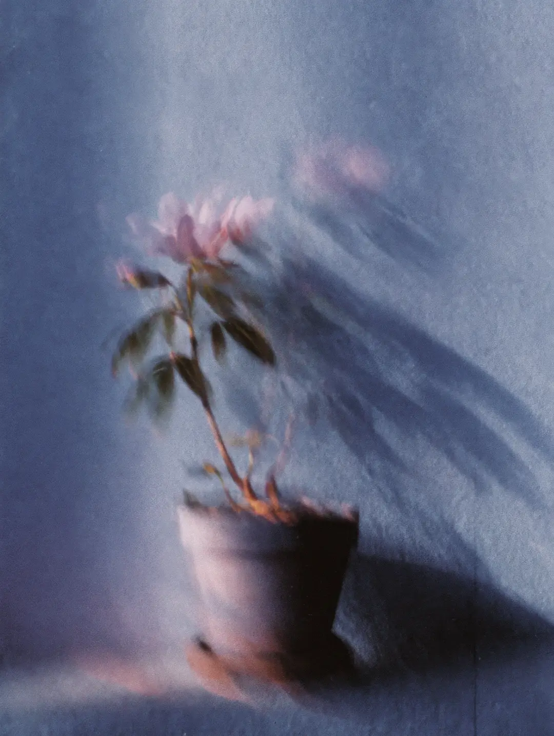 Late Light