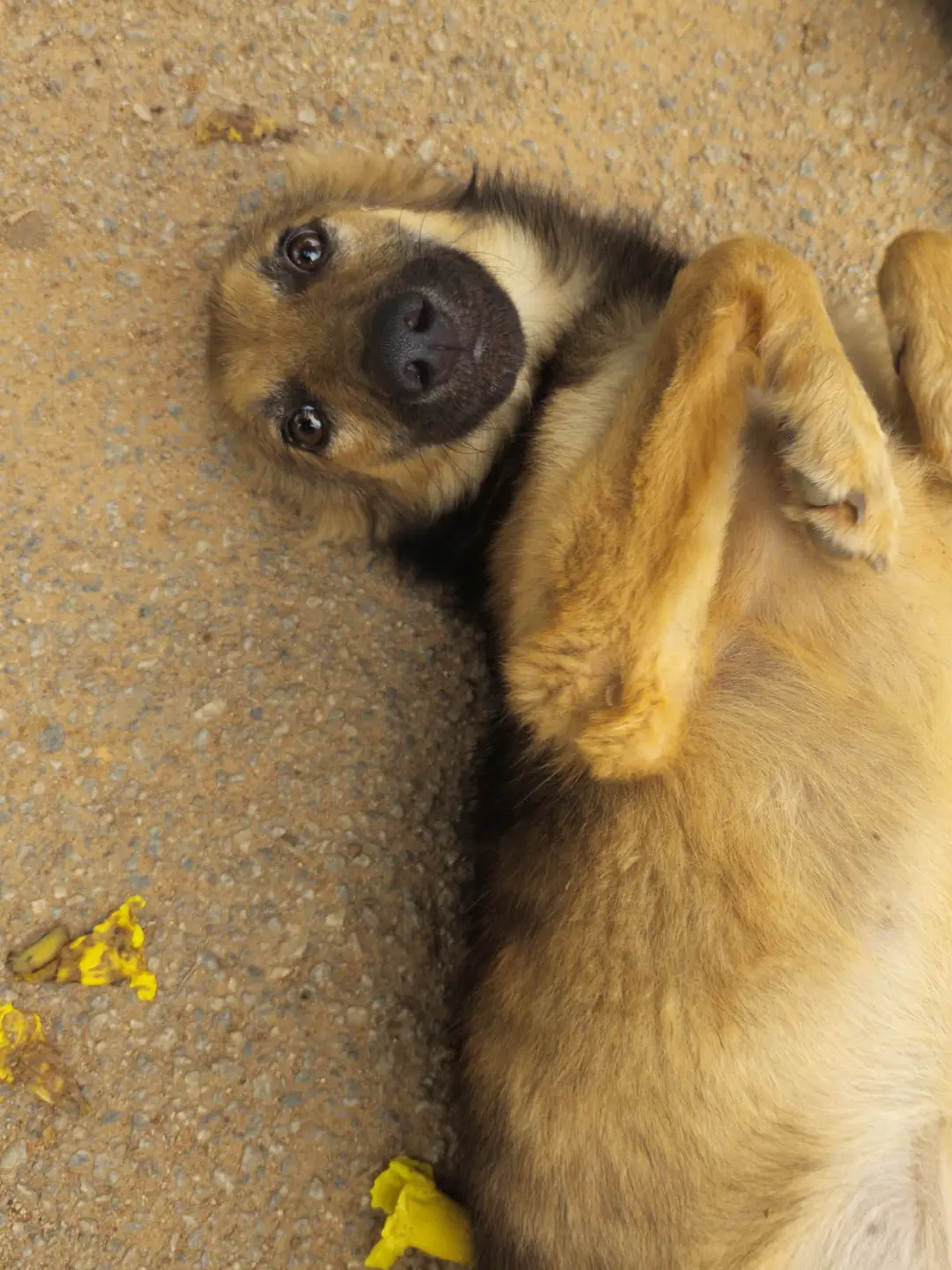 Play With Me