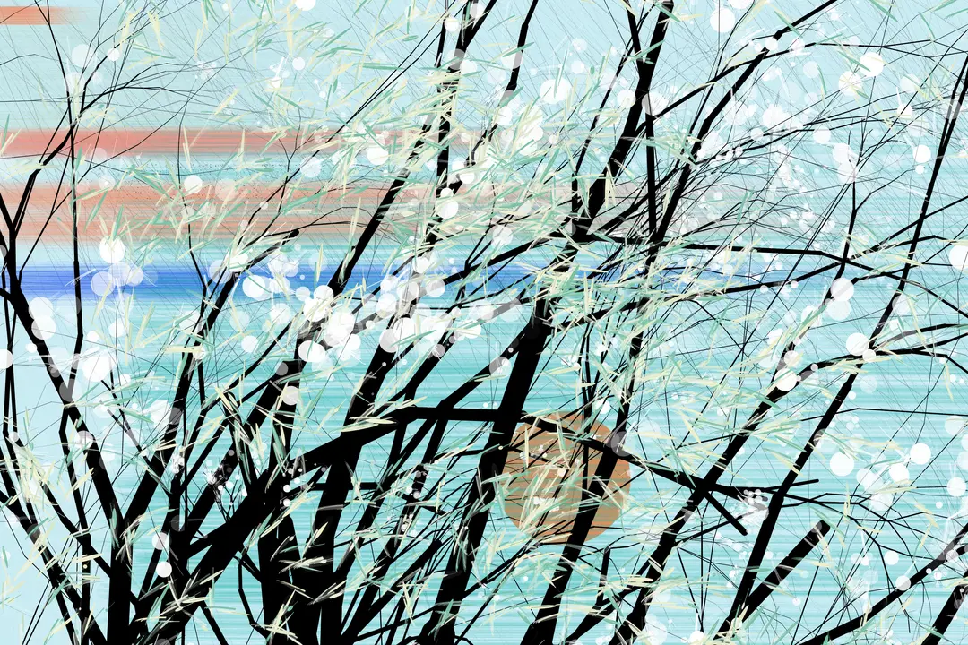 The Silence Between Wind and Tree