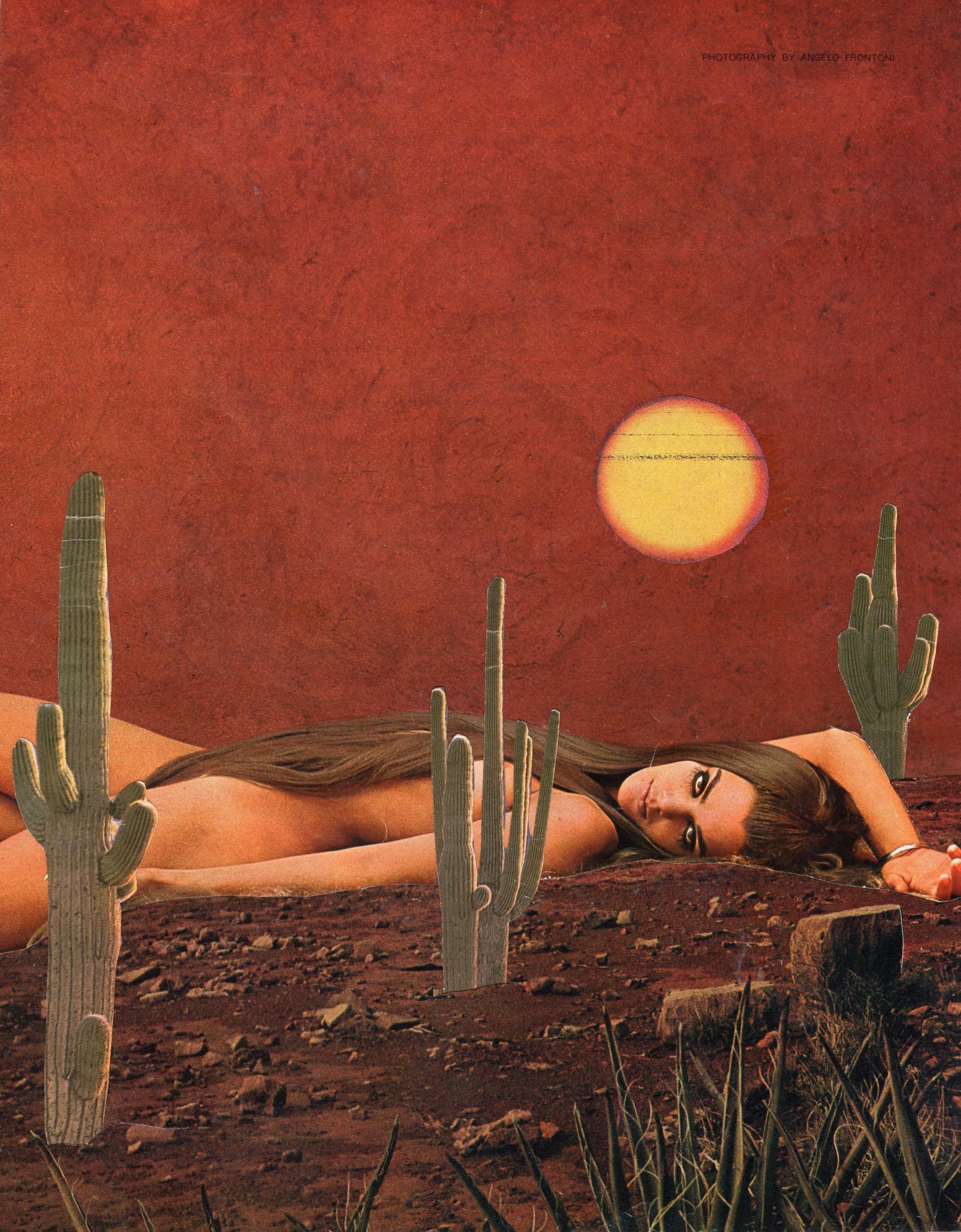 Desert of Forbidden Desires