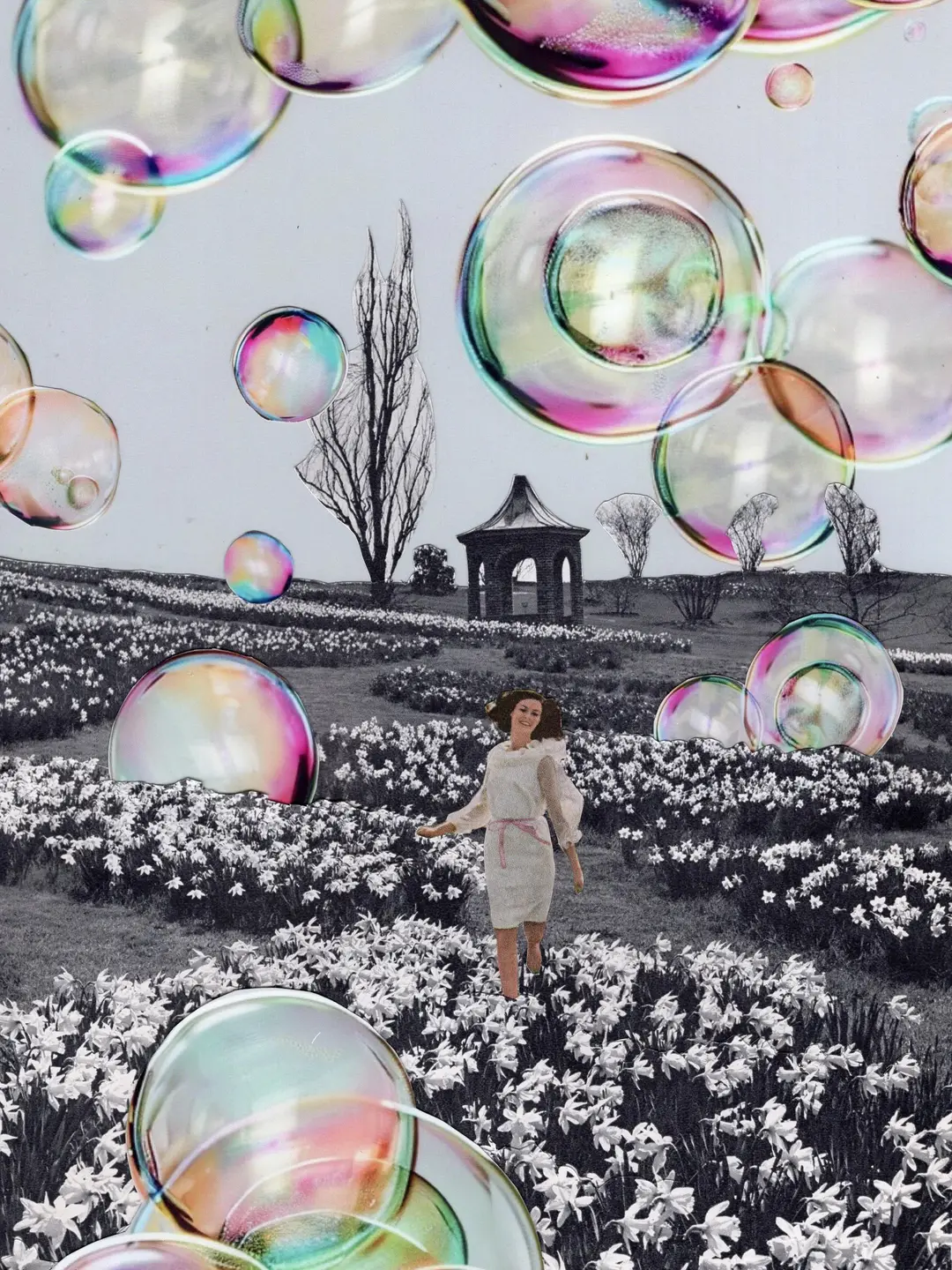 The Garden of Fragile Dreams