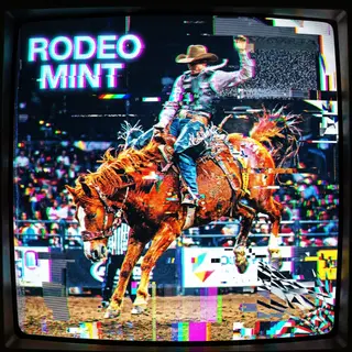 Rodeo Mint: Frame Buffer 01