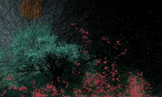 Spring