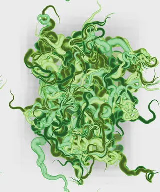 Ramification 